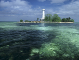 Филиппинское подразделение Всемирного фонда дикой природы (WWF) заявило, что корабль повредил не менее десяти метров рифов, которые считаются одними из самых богатых с точки зрения биологического разнообразия среди всех объектов Кораллового треугольника