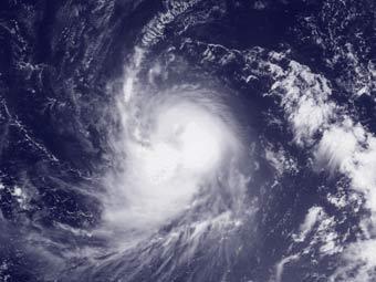  "",     digital-typhoon.org 