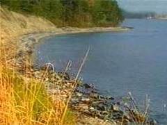 Кадр НТВ, архив Кадр НТВ, архив