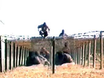 Подготовка террористов в тренировочных лагерях "Аль-Каеды"