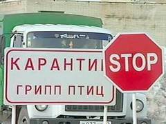 Карантинная зона в Краснодаре. Кадр Первого канала Карантинная зона в Краснодаре. Кадр Первого канала