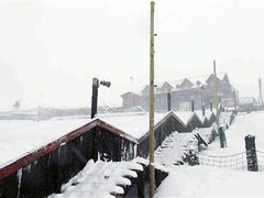 2 августа 2006 года. Южная Африка. Фото AFP 2 августа 2006 года. Южная Африка. Фото AFP