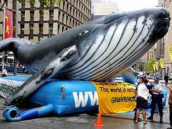 Активисты "Гринписа" в Сиднее протестуют против действий японских китобоев. Фото ©AFP