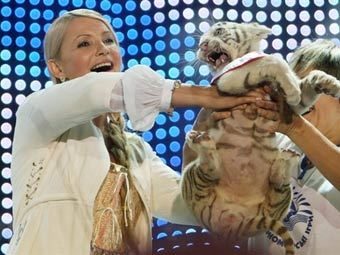 Юлия Тимошенко и Тигрюля. Фото ©AFP