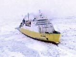       Amorella     
