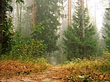 "  ,       .             ", -  