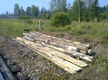   ,        2004           .