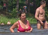         -  ,  , ,        