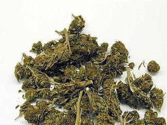  .    dea.gov