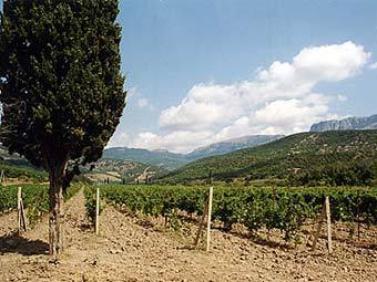     .    massandra.ua.