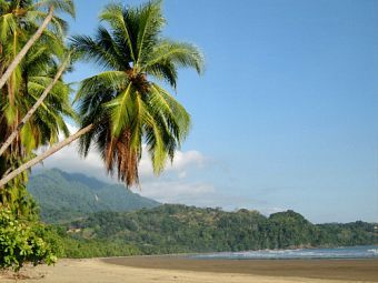 -.    www.travelvivi.com
